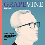Grapevine